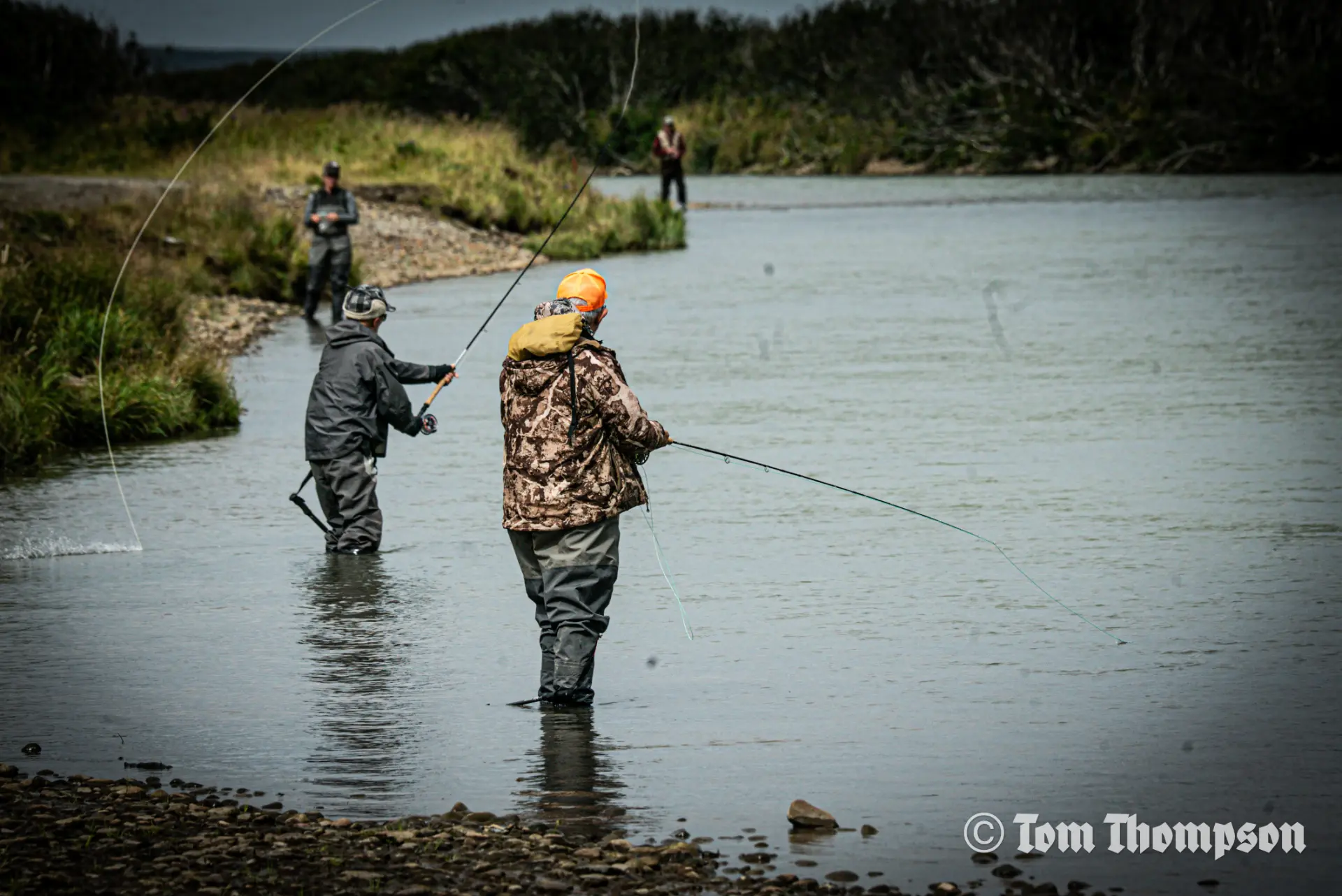 Salmon angler in Cold Bay